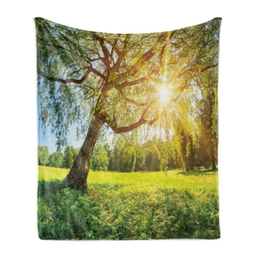 Tree Soft Flannel Fleece Throw Blanket, Picturesque of Foliage with Morning Sunbeams, Cozy Plush for Indoor and Outdoor Use, 50" x 60", Lime Green Umber, by Ambesonne