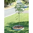 thumbnail image 1 of Epic Gardening Round Metal Raised Garden Bed Kit, 8" Tall, Made for Outdoor Use, Zinc, 1 of 6