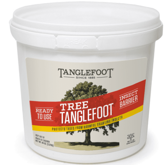 Tree Tanglefoot 80oz Insect Barrier 5lb Tub with SafeSeal Lid, Non-Toxic Sticky Tree Wrap Coating, Outdoor Garden Protection