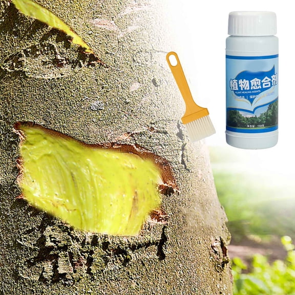 Tree Trunk Healing Agent for Wounds - Waterproof Sealant for Fruit Trees, Bonsai & Ornamental Tree Care - Promotes Natural Healing A