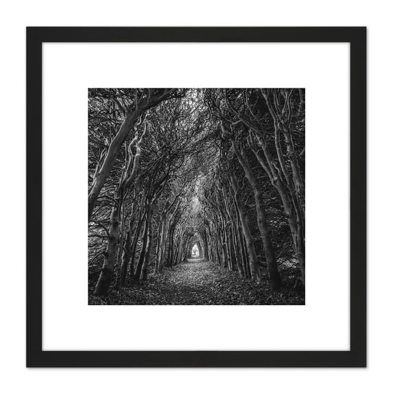 Tree Tunnel Lane Atmospheric Black White 8X8 Inch Square Wooden Framed Wall Art Print Picture with Mount