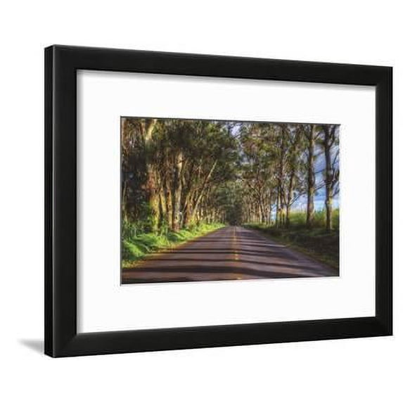 Tree Tunnel to Old Koloa Town, Kauai Hawaii, Scenic Framed Art Print Wall Art by Vincent James Sold by Art.Com