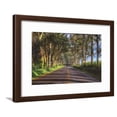 thumbnail image 1 of Tree Tunnel to Old Koloa Town, Kauai Hawaii, Scenic Framed Art Print Wall Art by Vincent James Sold by Art.Com, 1 of 6