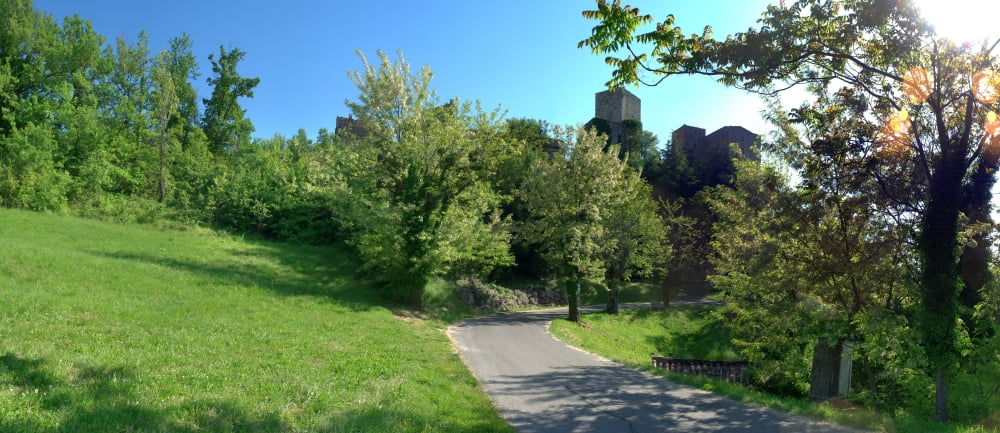 Tree along a road Caseneuve Vaucluse Luberon Provence-Alpes-Cote DAzur France Canvas Art - Panoramic Images (36 x 12)