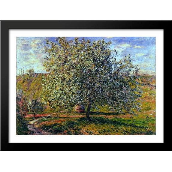 Tree in Flower near Vetheuil 38x28 Large Black Wood Framed Print Art by Claude Monet