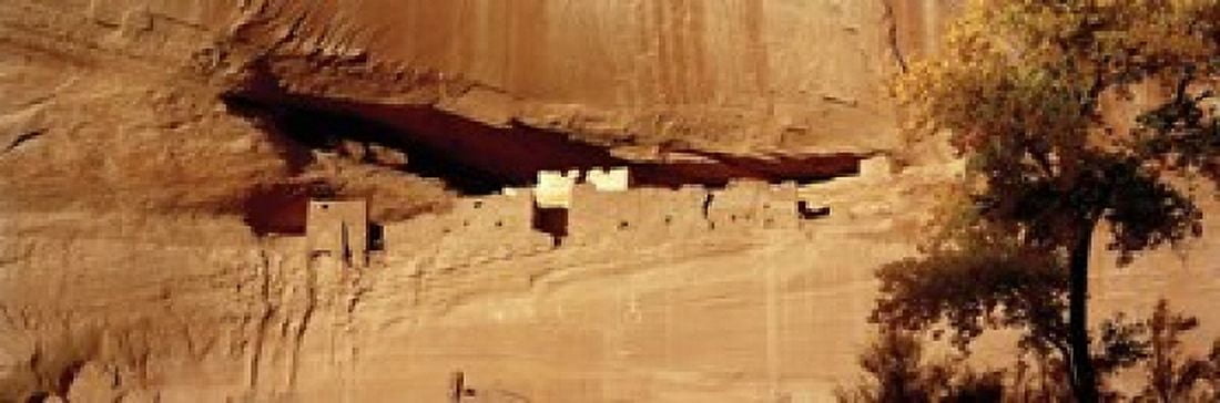 Tree in front of the ruins of cliff dwellings White House Ruins Canyon de Chelly National Monument Arizona USA Canvas Art - Panoramic Images (18 x 6)