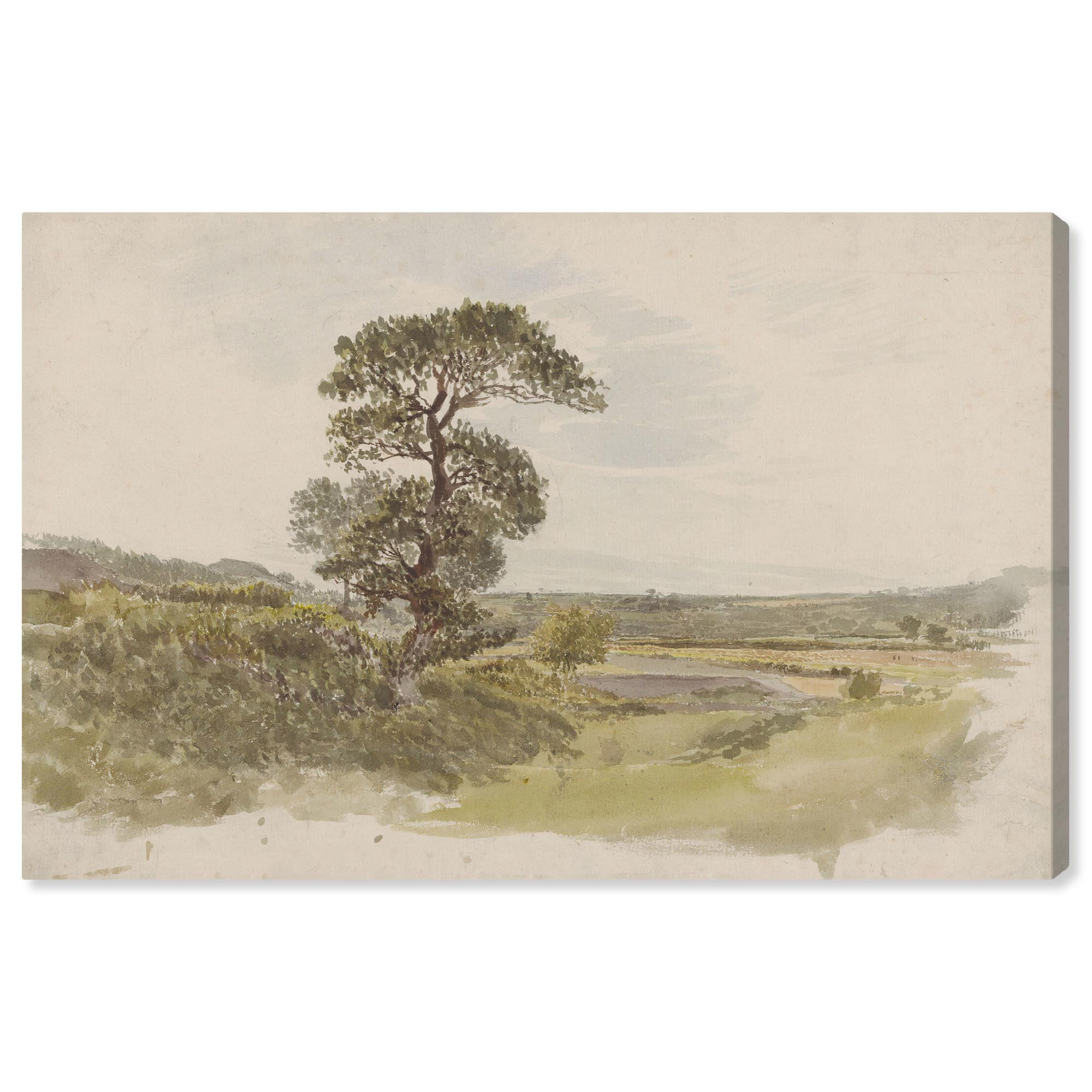 Tree in Foreground Rustic Farmhouse Landscape Canvas Art, 15" x 10"