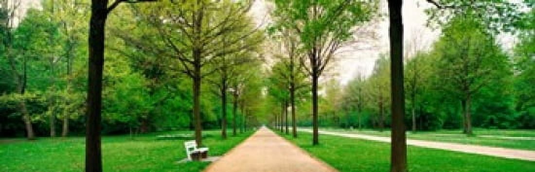 Tree-lined road Hessen Kassel vicinity Germany Canvas Art - Panoramic Images (18 x 6)