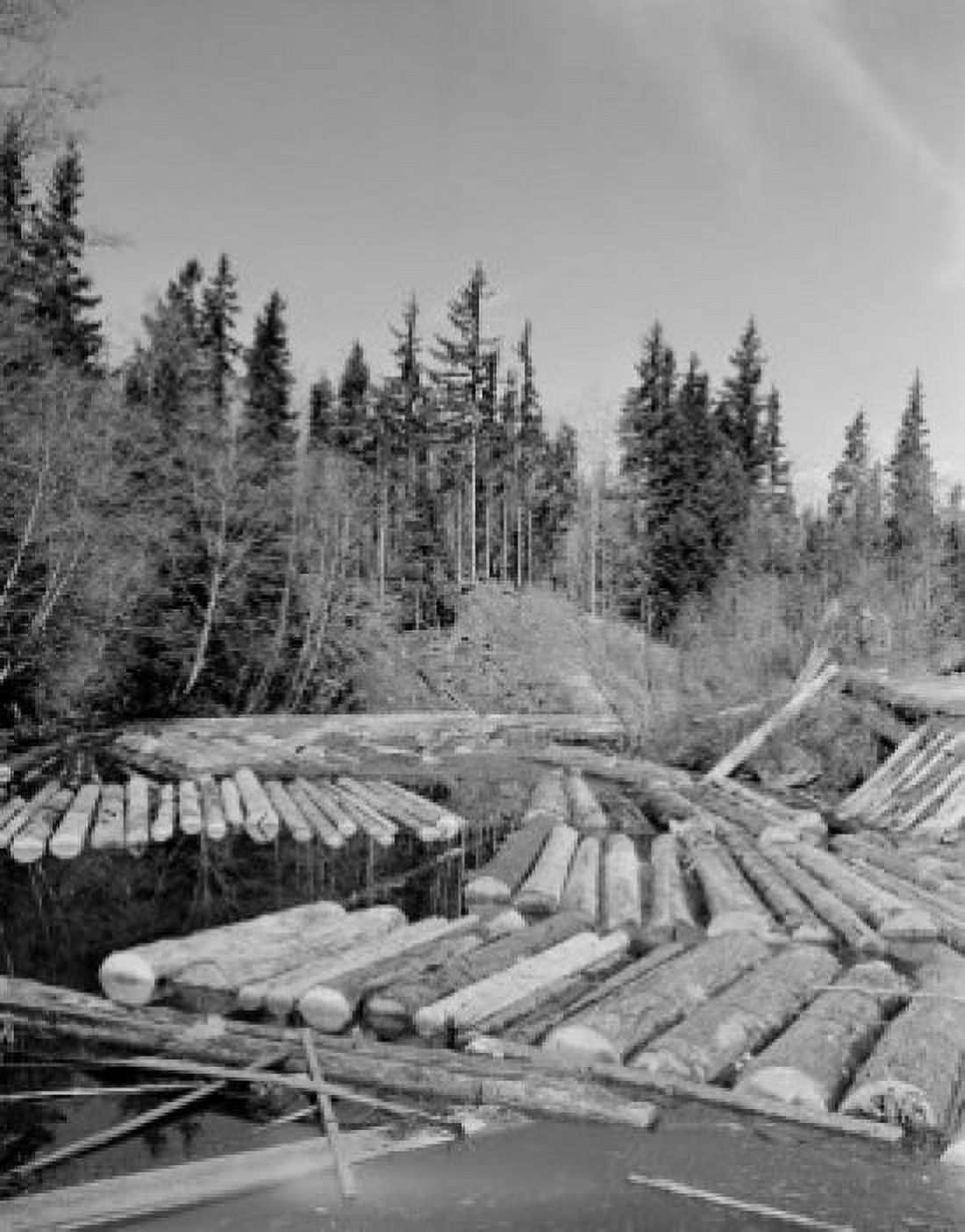 Tree logs floating on water Canvas Art - (24 x 36)