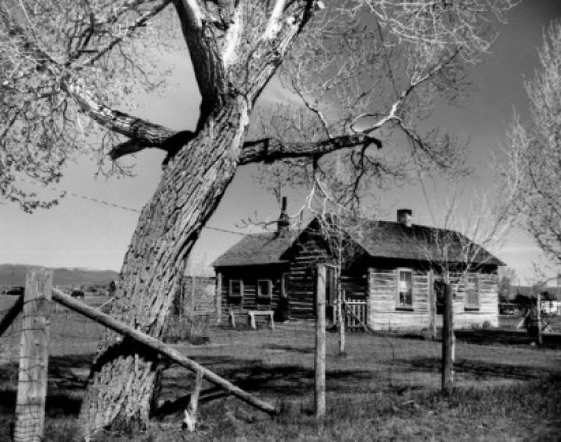 Tree near a barbed wire fence in a field Canvas Art - (18 x 24)