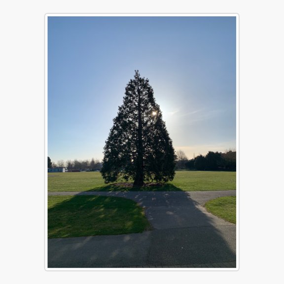 Tree oHope Sticker