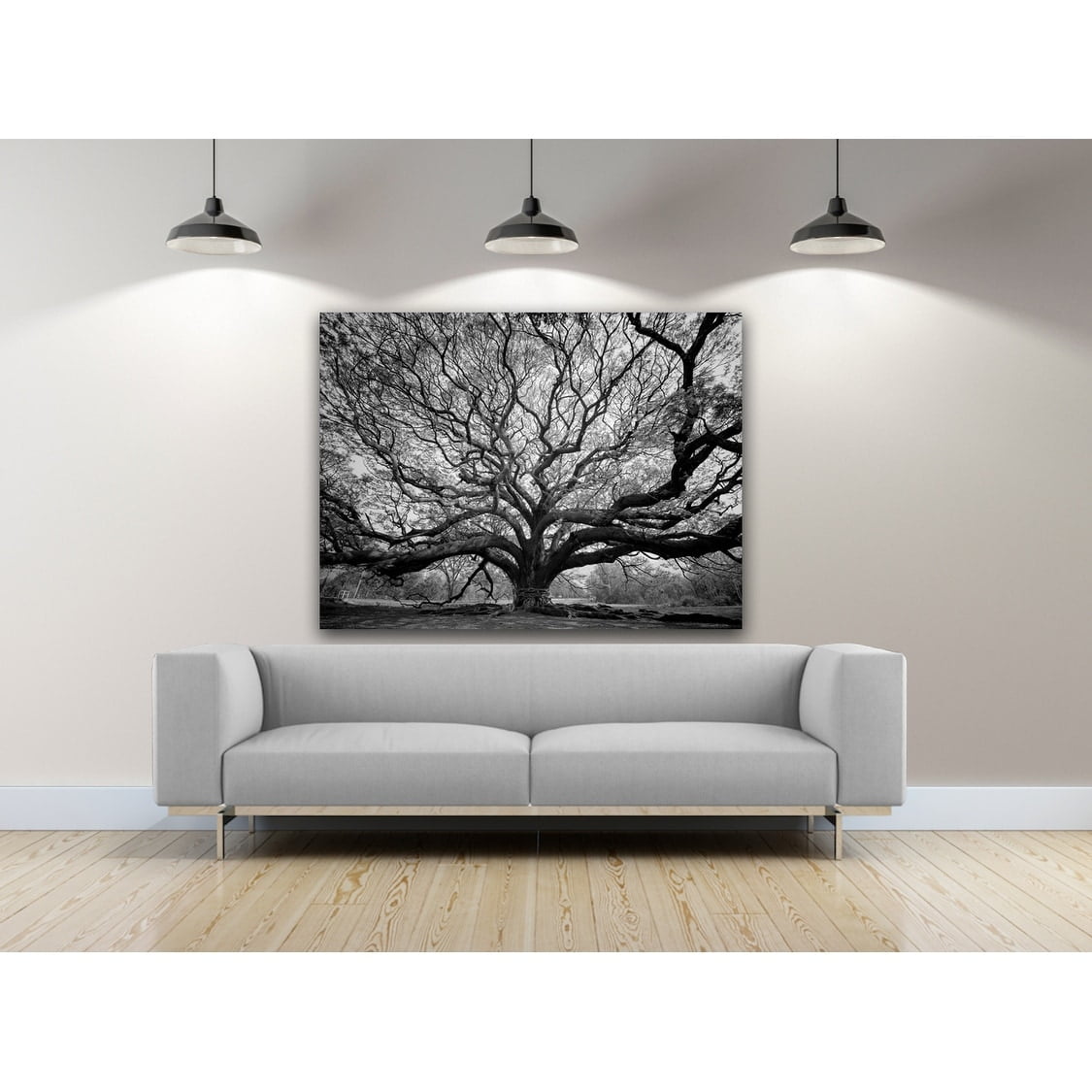 Black and White Tree of Wisdom Photography Canvas Art 20 x 16
