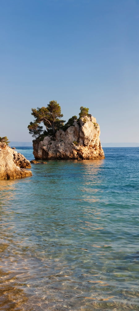 Tree on a rock in the sea Brela Makarska Riviera Dalmatia Croatia Canvas Art - Panoramic Images (27 x 9)