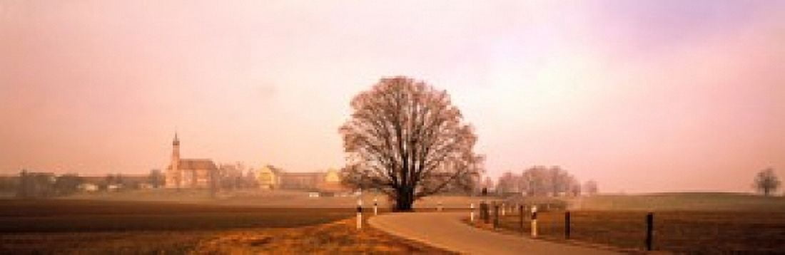Tree & road Lansberg vicinity Germany Canvas Art - Panoramic Images (36 x 12)