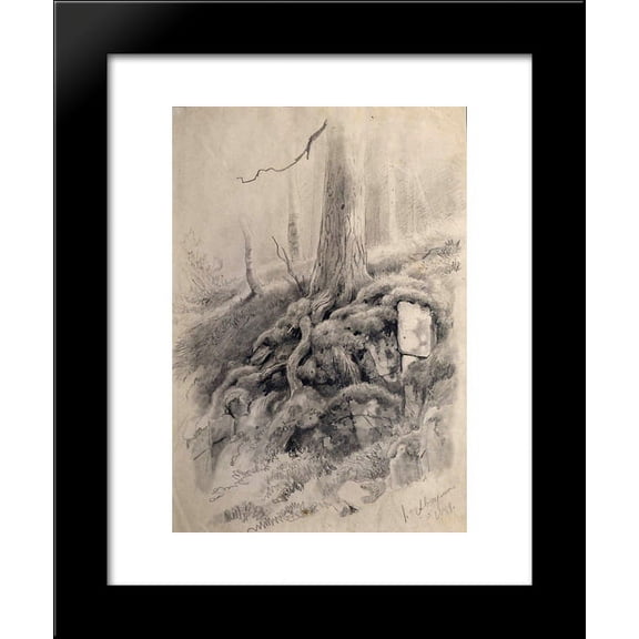 Tree roots 20x24 Framed Art Print by Ivan Shishkin