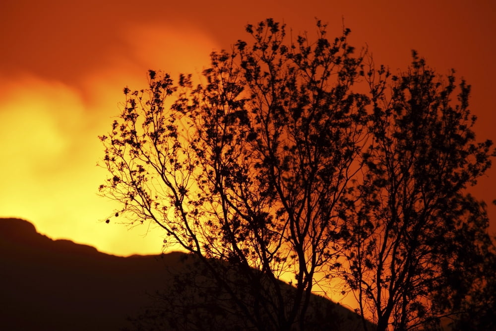 Tree silhouetted against glow of lava in crater of Nyamuragira Volcano Canvas Art - Richard RoscoeStocktrek Images (18 x 12)
