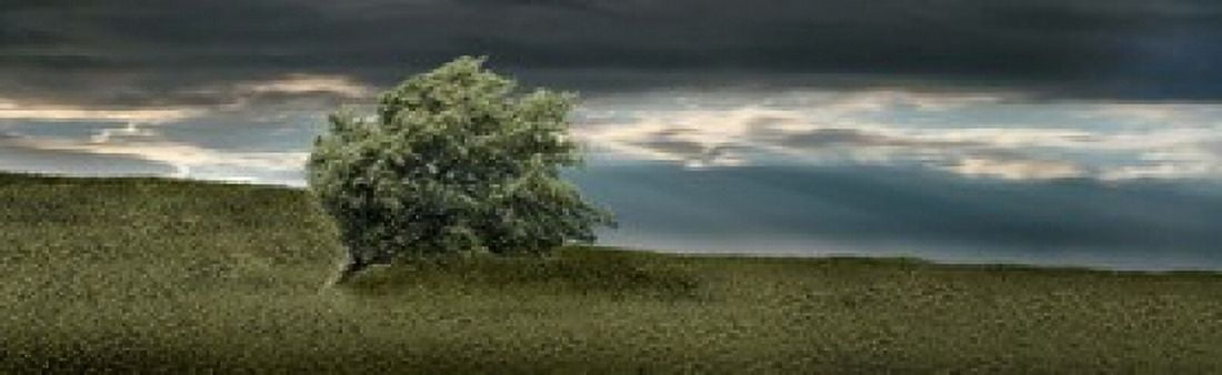 Tree swaying in storm Canvas Art - Panoramic Images (15 x 5)