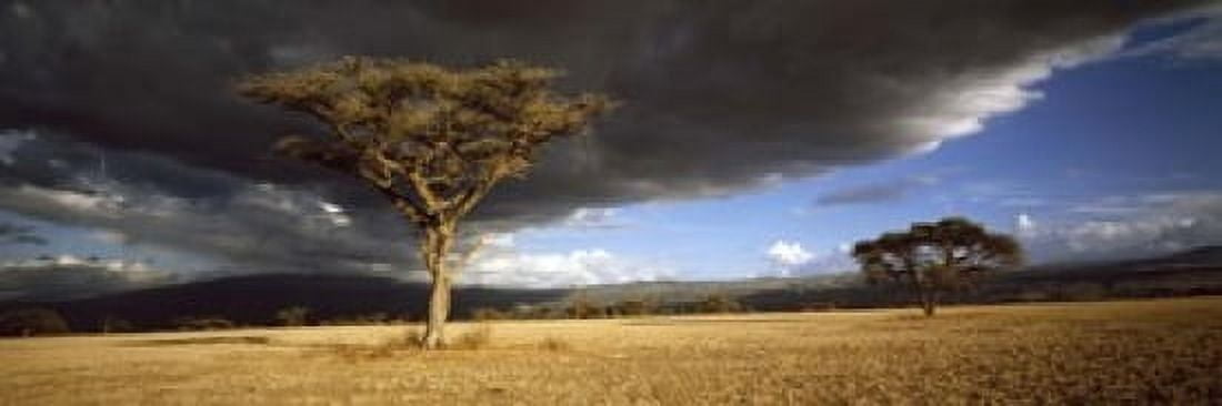 Tree wstorm clouds Tanzania Canvas Art - Panoramic Images (18 x 6)