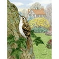 thumbnail image 1 of Treecreeper Flag Garden Size, 1 of 1