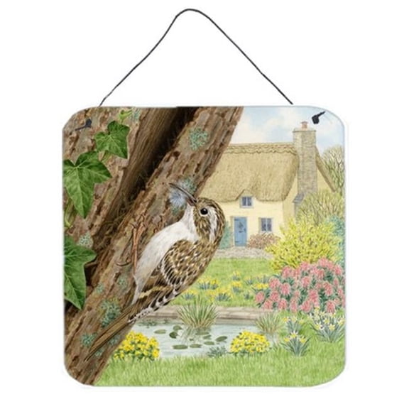 Treecreeper by Sarah Adams Wall or Door Hanging Prints