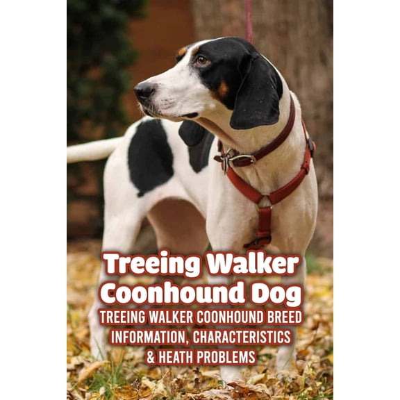 Treeing Walker Coonhound Dog: Treeing Walker Coonhound Breed Information, Characteristics & Heath Problems: Fun Info, (Paperback)