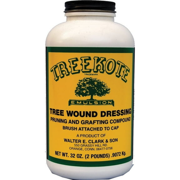 Treekote Wound Dressing Brushtop 32 OZ Brushtop for Trees and Shrubs - Healing Paste and Tree Wound Sealer - Pruning Sealer, Grafting Compound - Made in the USA