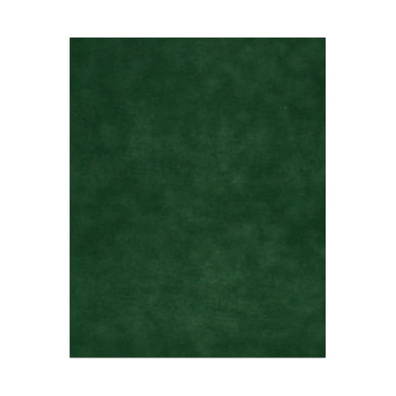 Treeline Suede Acid Free 16x20 Backing Board - Uncut Photo Mat Board - 1 Sheet