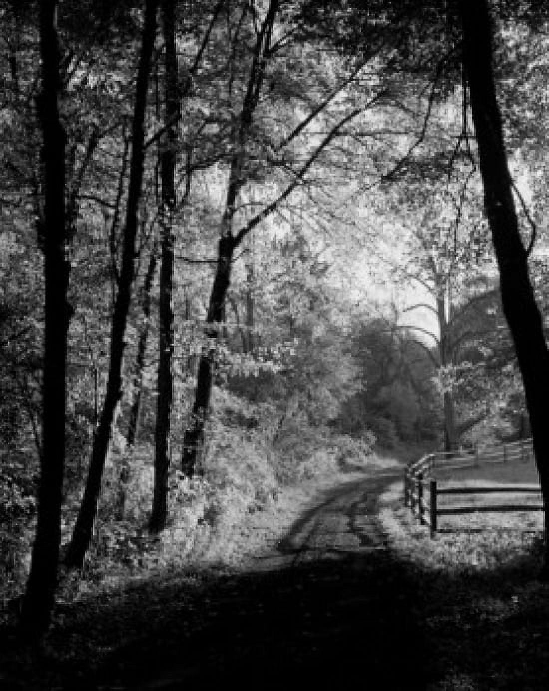 Treelined dirt road Canvas Art - (18 x 24)