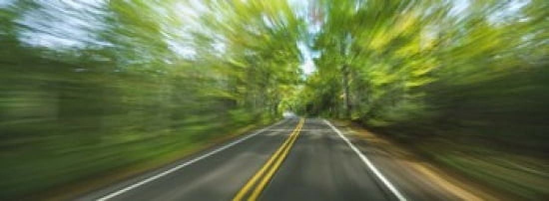 Treelined road viewed from a moving vehicle Canvas Art - Panoramic Images (18 x 7)