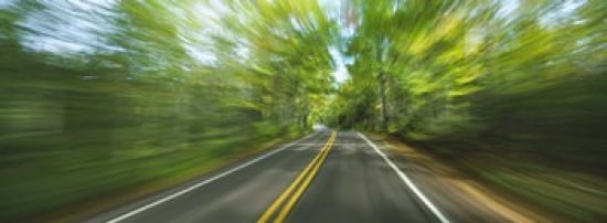 Treelined road viewed from a moving vehicle Canvas Art - Panoramic Images (36 x 13)