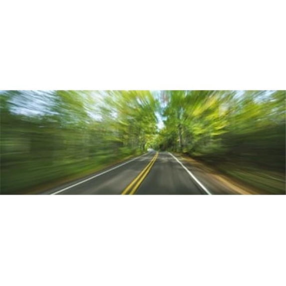Treelined road viewed from a moving vehicle Poster Print by - 36 x 12