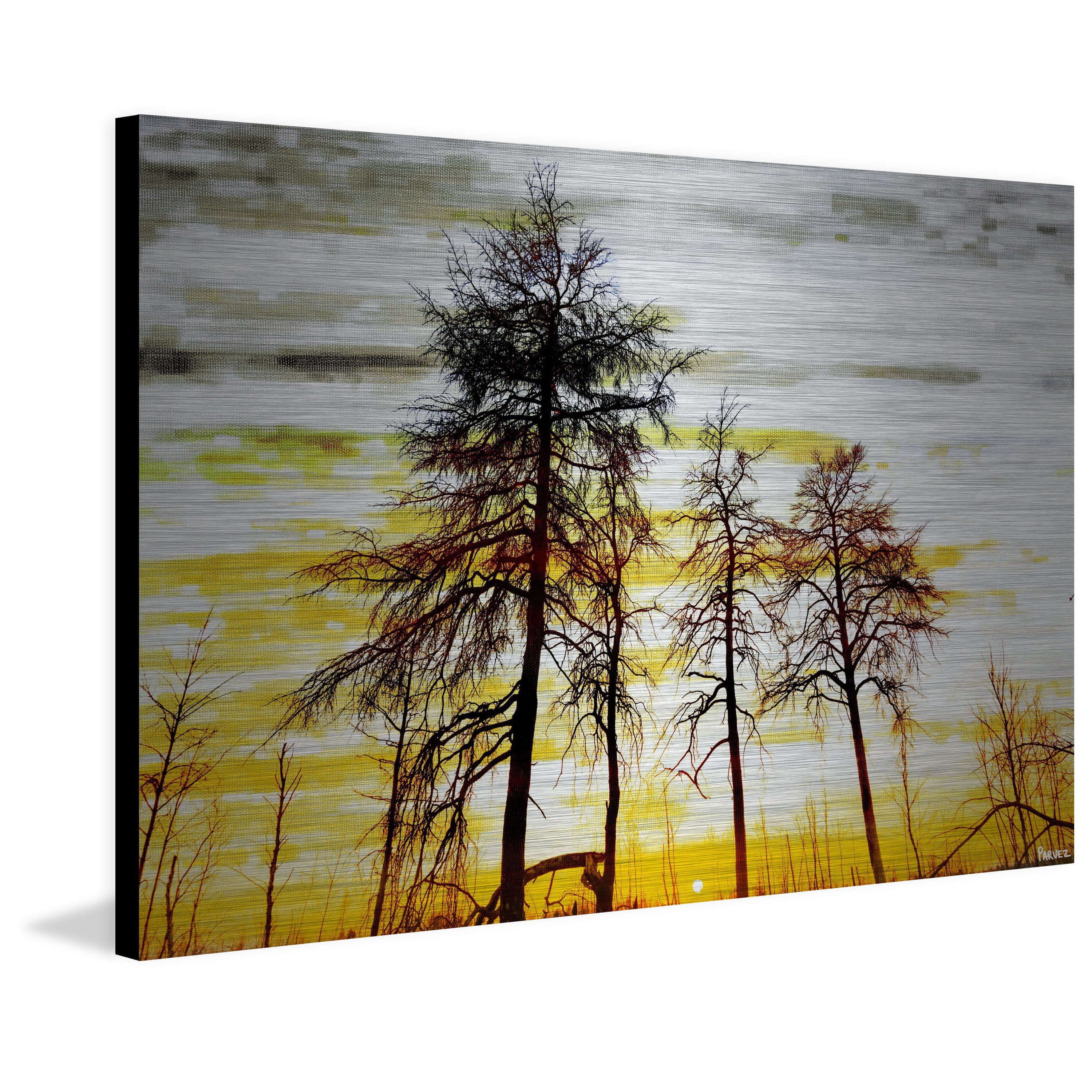 "Trees Against Gold Sky" Painting Print on Brushed Aluminum