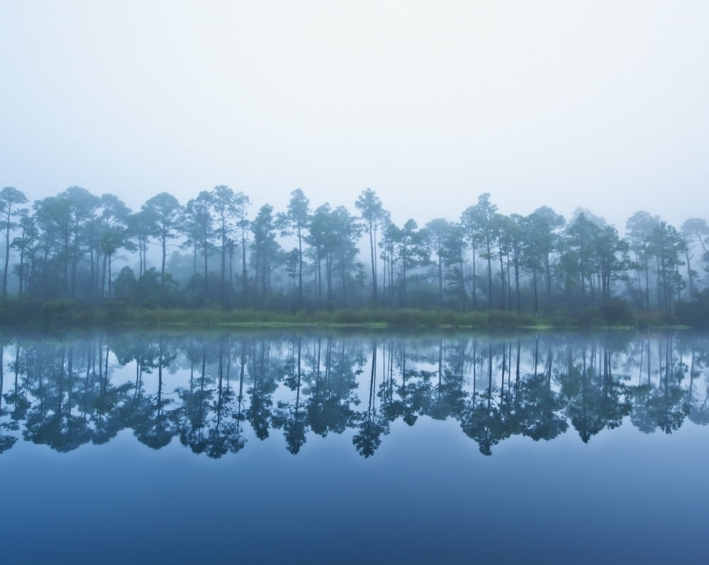 Trees Along The Shoreline Reflected In The Tranquil Water Pensacola Florida United States of America Canvas Art - David DuChemin Design Pics (34 x 26)