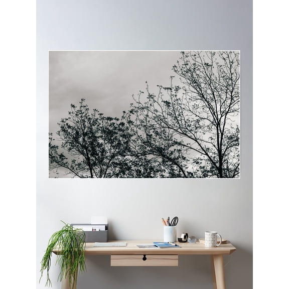 Trees And Sky Poster Wall Art, Modern Wall Decor For Living Room Bedroom, 8x12 UNFRAMED