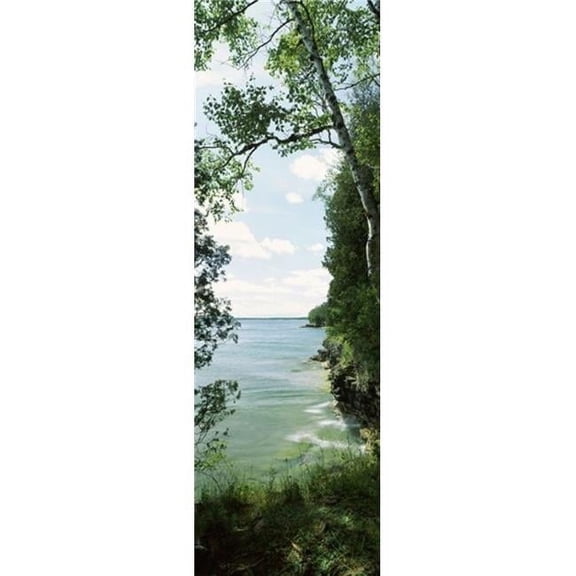Trees At The Lakeside Cave Point County Park Lake Michigan Door County Wisconsin USA Poster Print - 18 x 6