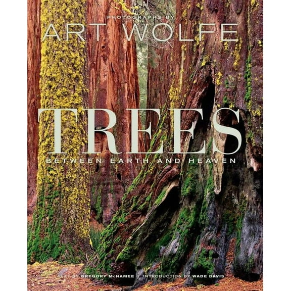 Trees: Between Earth and Heaven (Hardcover)