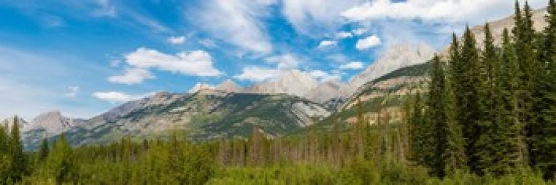 Trees with Canadian Rockies in the background Smith-Dorrien Spray Lakes Trail Kananaskis Country Alberta Canada Canvas Art - Panoramic Images (36 x 12)