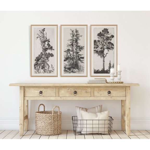 Trees Etching Set of 3 Antique Sketch Prints Rustic Wall Decor 141 Set 3