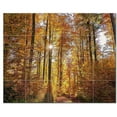 thumbnail image 1 of Trees Forest Ceramic Tile Mural Kitchen Backsplash Bathroom Shower, 401695-S54, 1 of 3