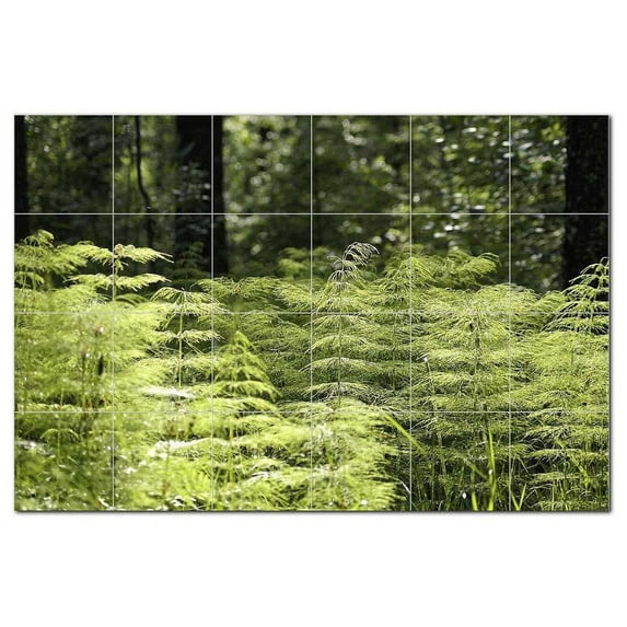 Trees Forest Ceramic Tile Mural Kitchen Backsplash Bathroom Shower, 401696-XL64