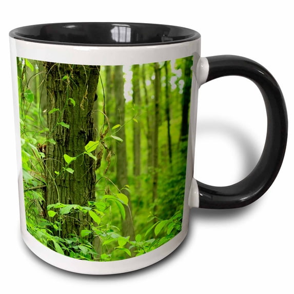 3drose, Trees Green Forest Leaves, 15oz Two-tone Black Mug