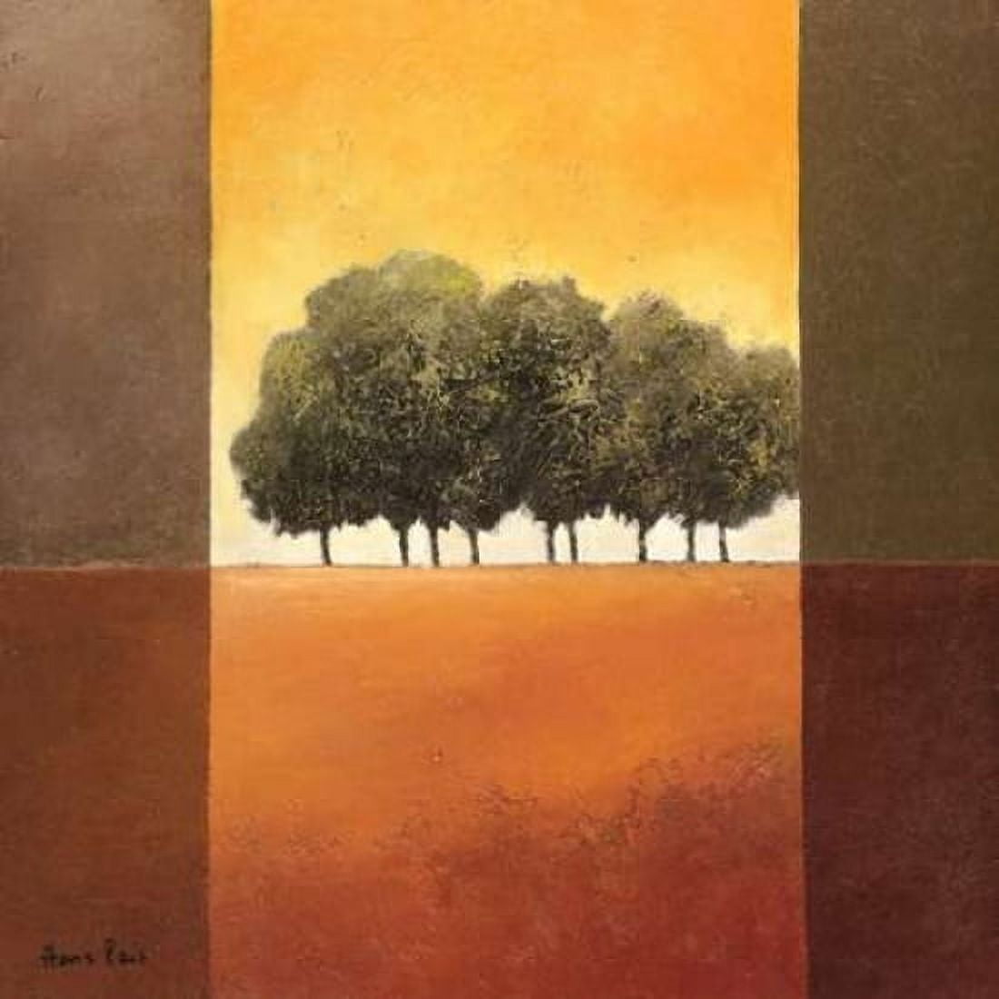 Trees III Canvas Art - Hans Paus (24 x 24)