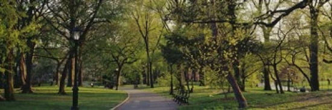 Trees In A Park Central Park NYC New York City New York State USA Canvas Art - Panoramic Images (18 x 6)