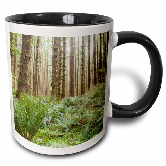 3drose, Trees in the Hoh Rainforest, Olympic N.p., Washington State., 11oz Two-tone Black Mug