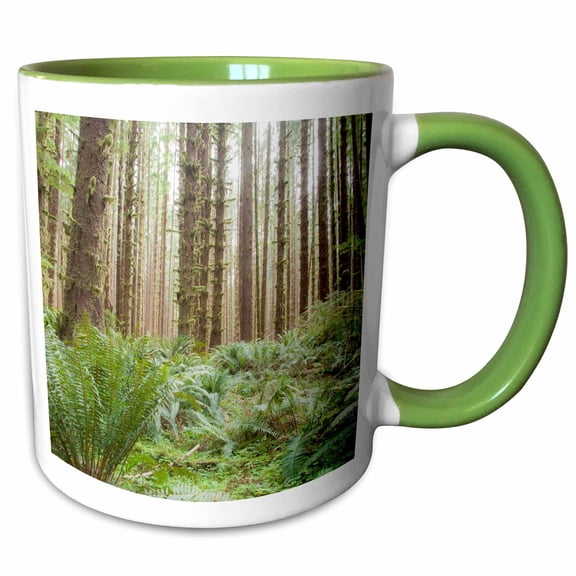 3drose, Trees in the Hoh Rainforest, Olympic N.p., Washington State., 11oz Two-tone Green Mug