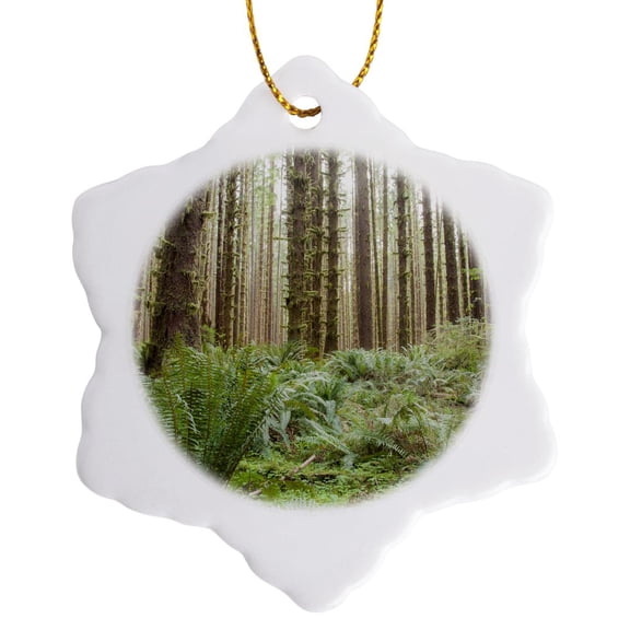 3drose, Trees in the Hoh Rainforest, Olympic N.p., Washington State., 3 inch Snowflake Porcelain Ornament