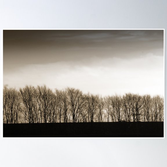 Trees In Winter Poster Wall Art, Modern Wall Decor, 8x12 UNFRAMED