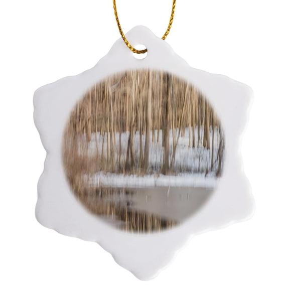 3drose, Trees in Winter Snow, Eagle Creek Park, Indianapolis, Indiana., 3 inch Snowflake Porcelain Ornament