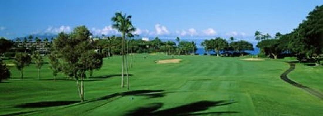 Trees Kaanapali Golf Course Maui Hawaii USA Canvas Art - Panoramic Images (18 x 7)