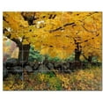 thumbnail image 1 of Trees Leaves Ceramic Tile Mural Kitchen Backsplash Bathroom Shower, 406015-XL54, 1 of 3